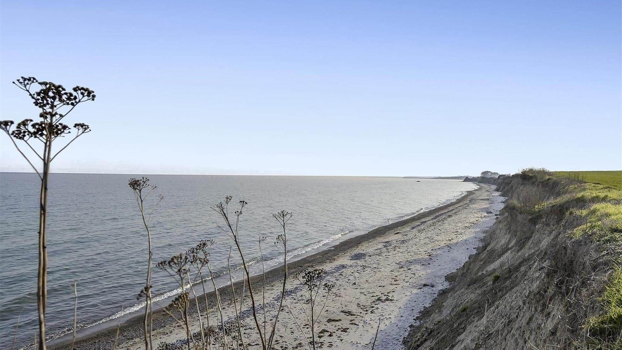 Photo of Others in Stege