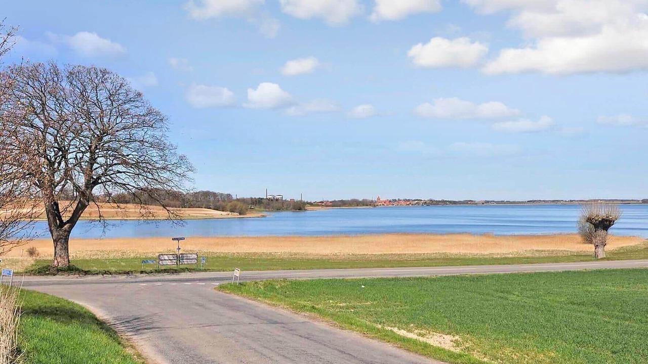 Photo of Others in Stege