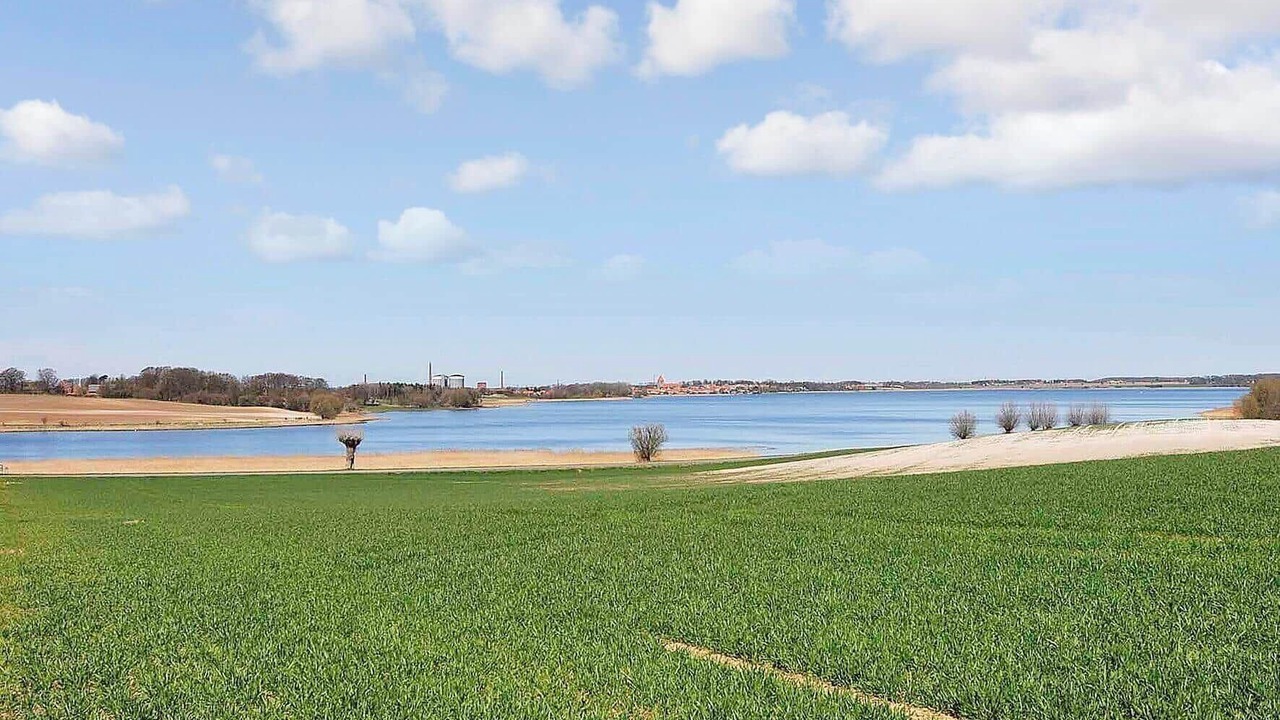 Photo of Others in Stege