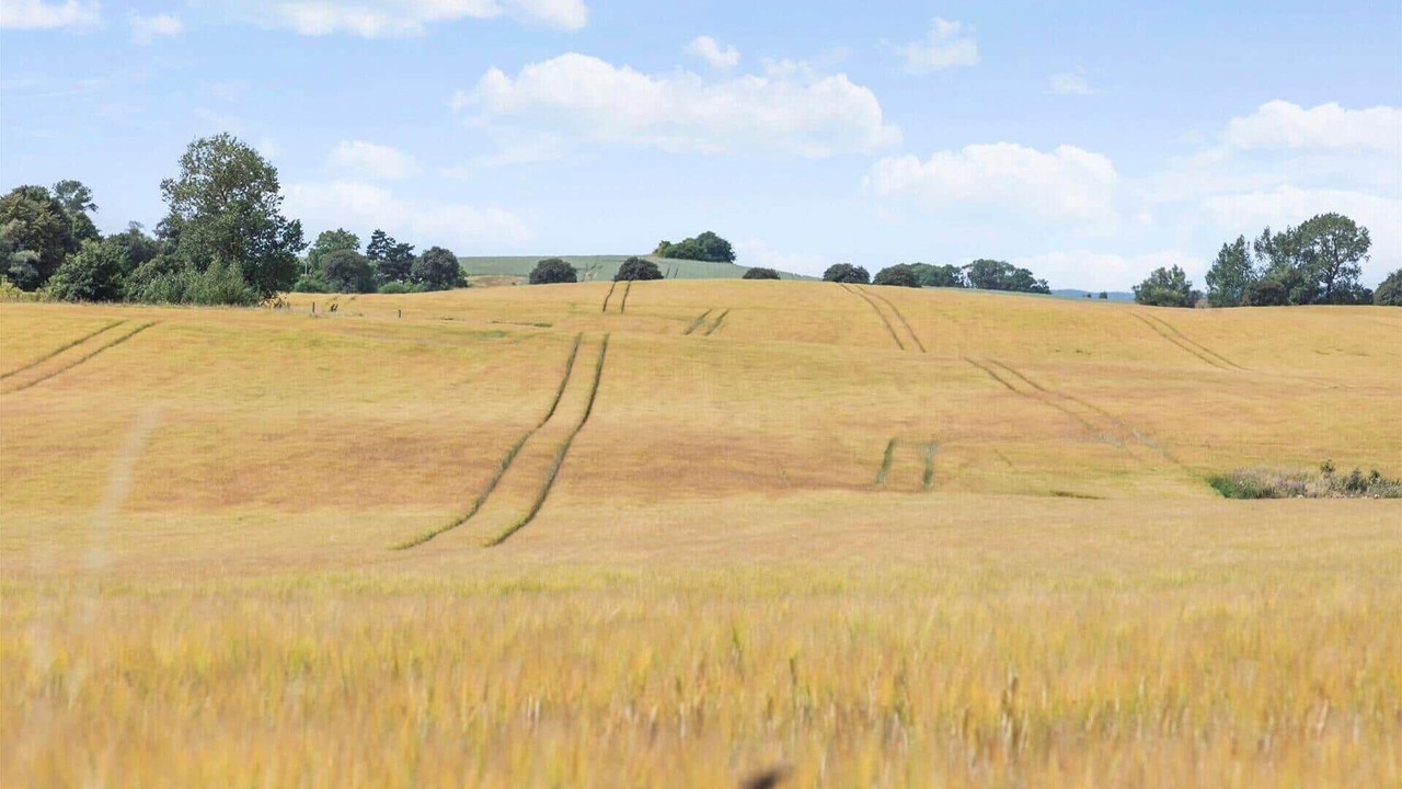 Photo of Others in Stege