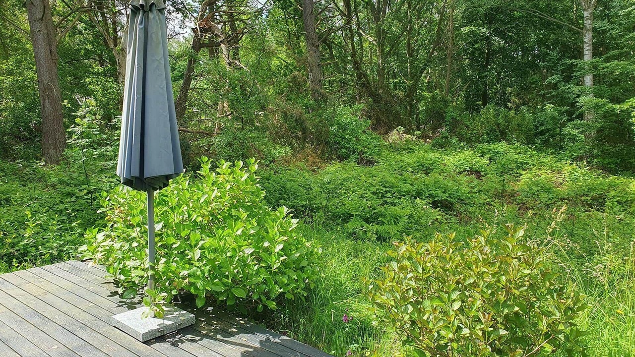 Photo of Outdoor in Stege