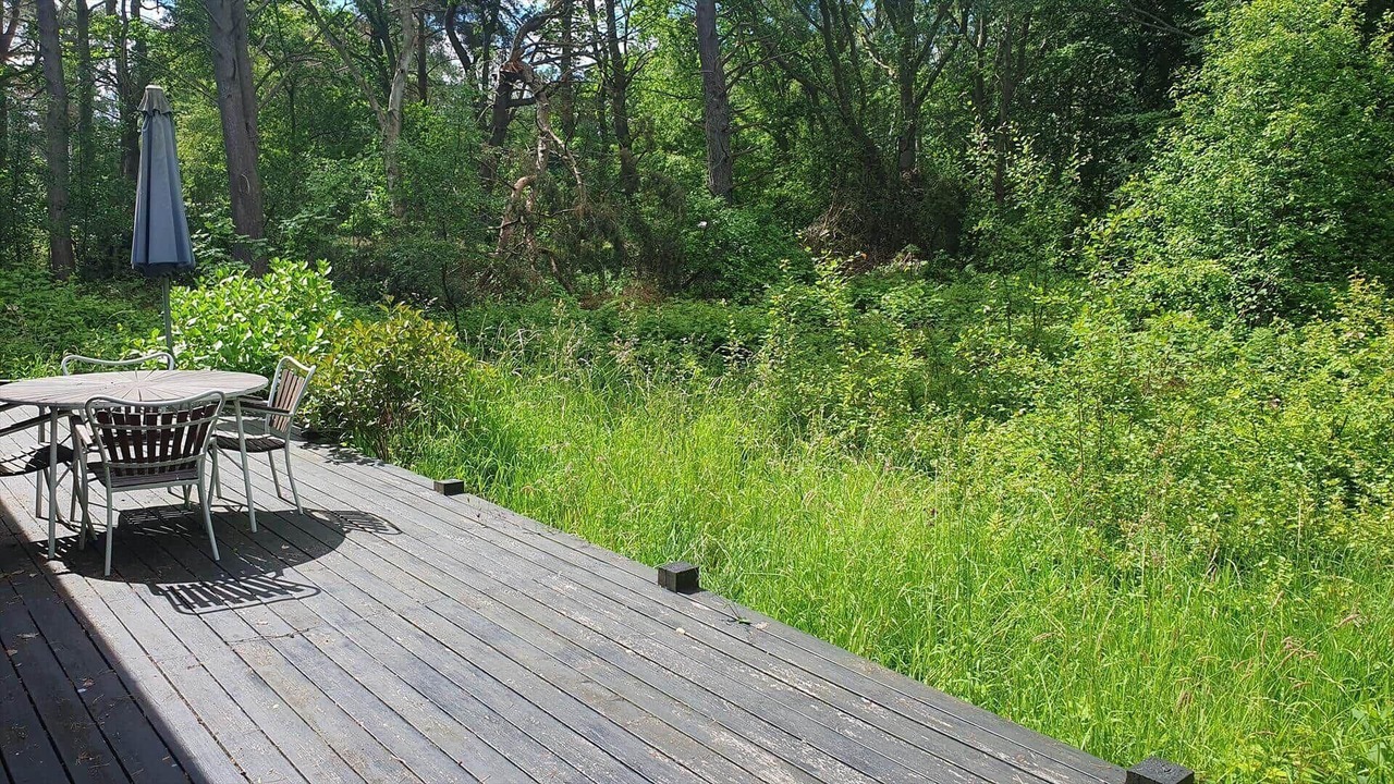 Photo of Outdoor in Stege