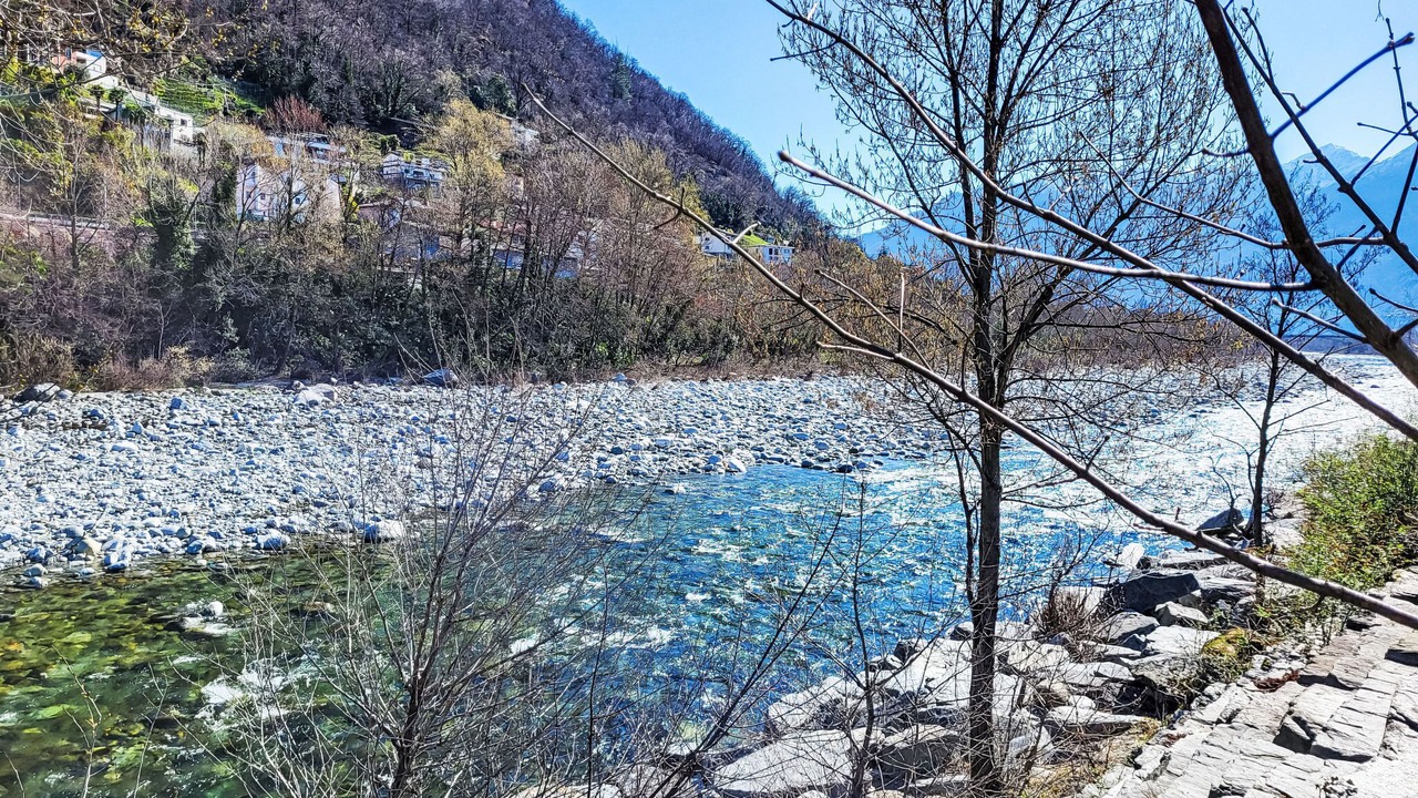 Photo of Others in Losone