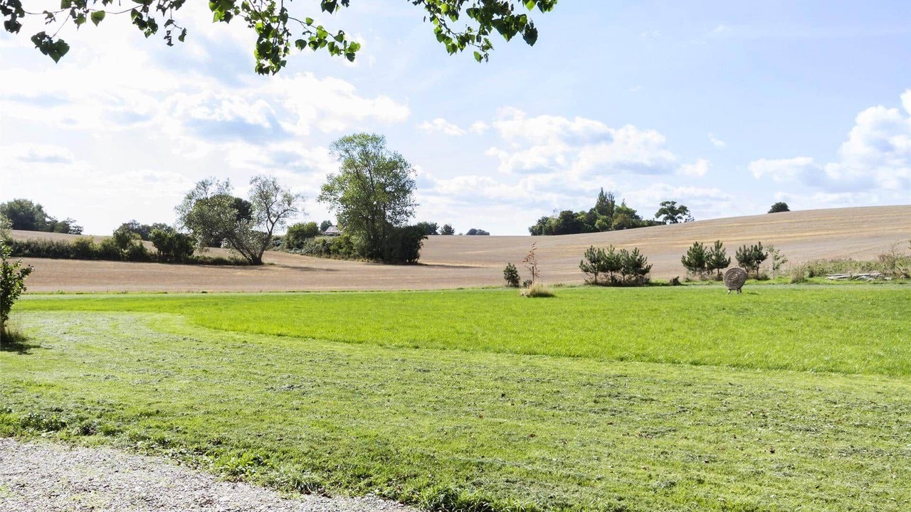 Photo of Others in Stege