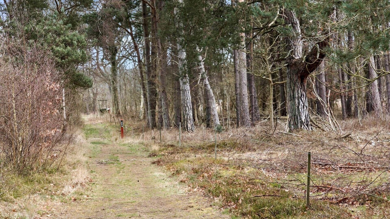 Photo of Others in Stege