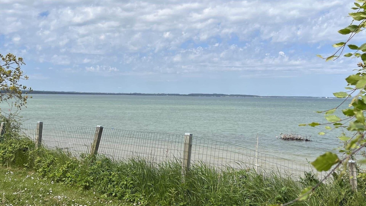 Photo of Others in Roneklint