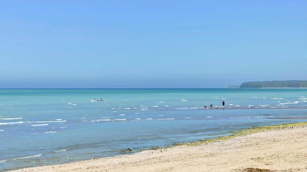 Photo of Others in Stege