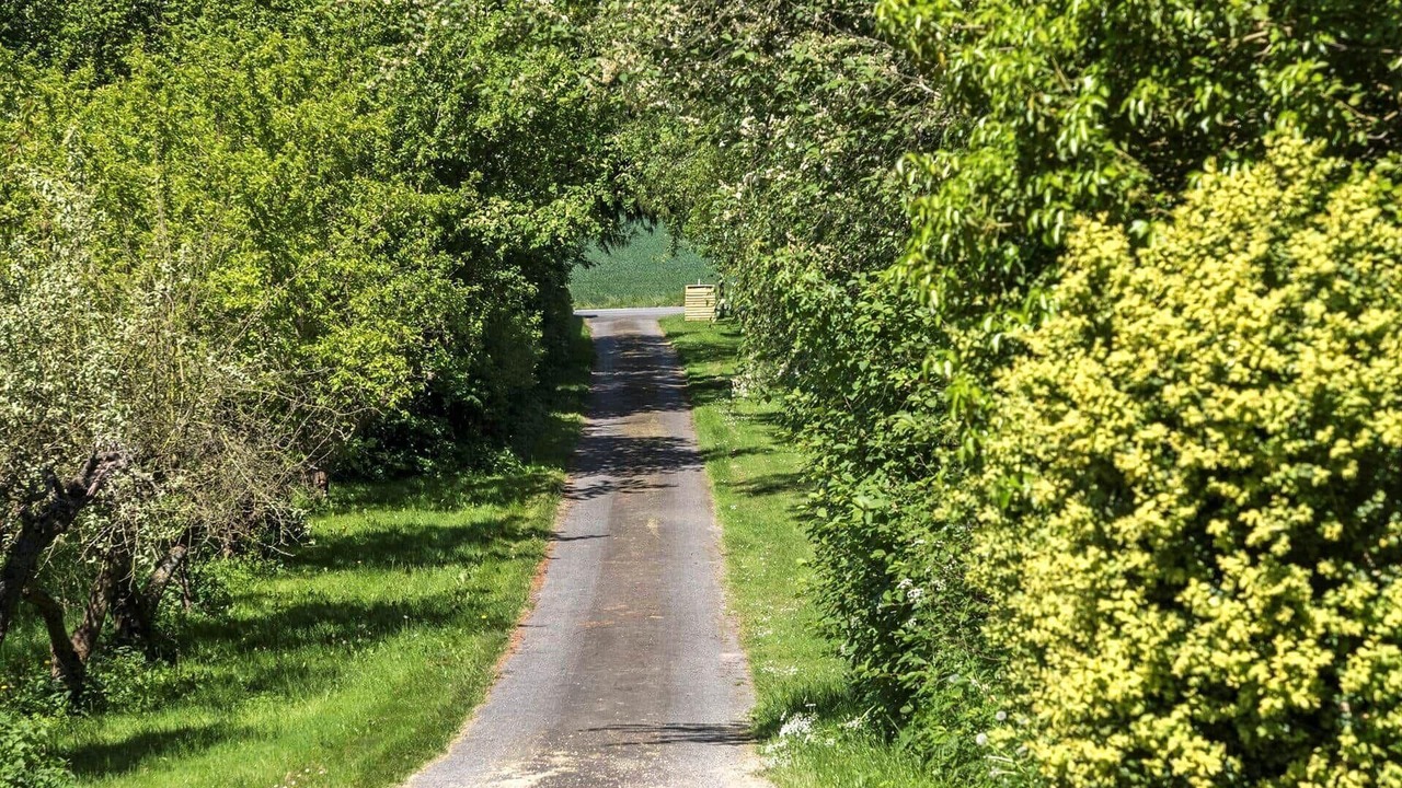 Photo of Others in Borre