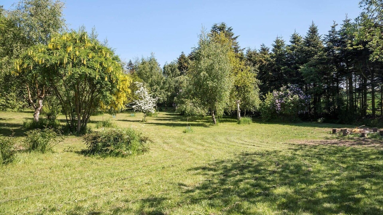 Photo of Others in Borre