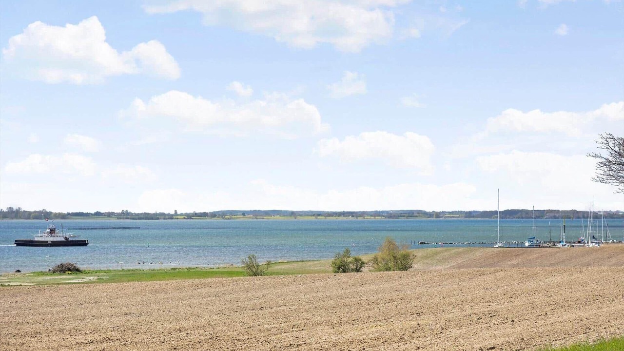 Photo of Others in Bog By