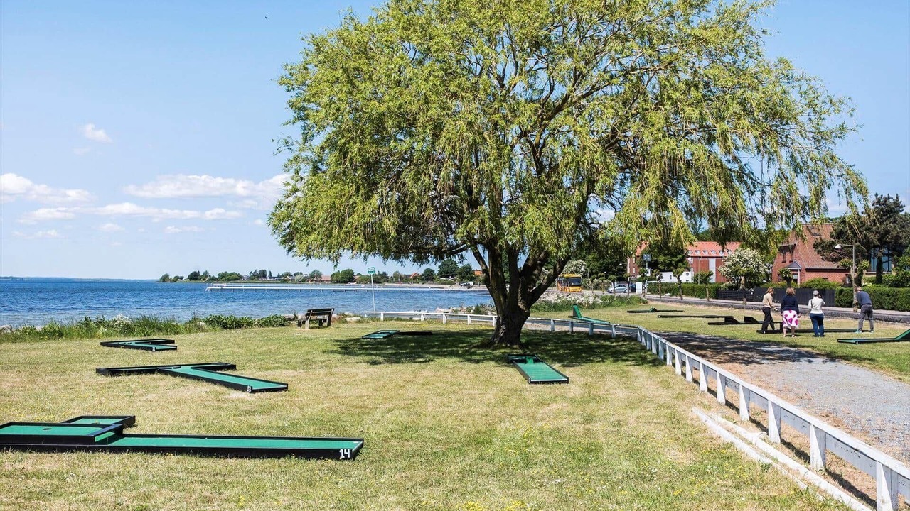 Photo of Others in Stege