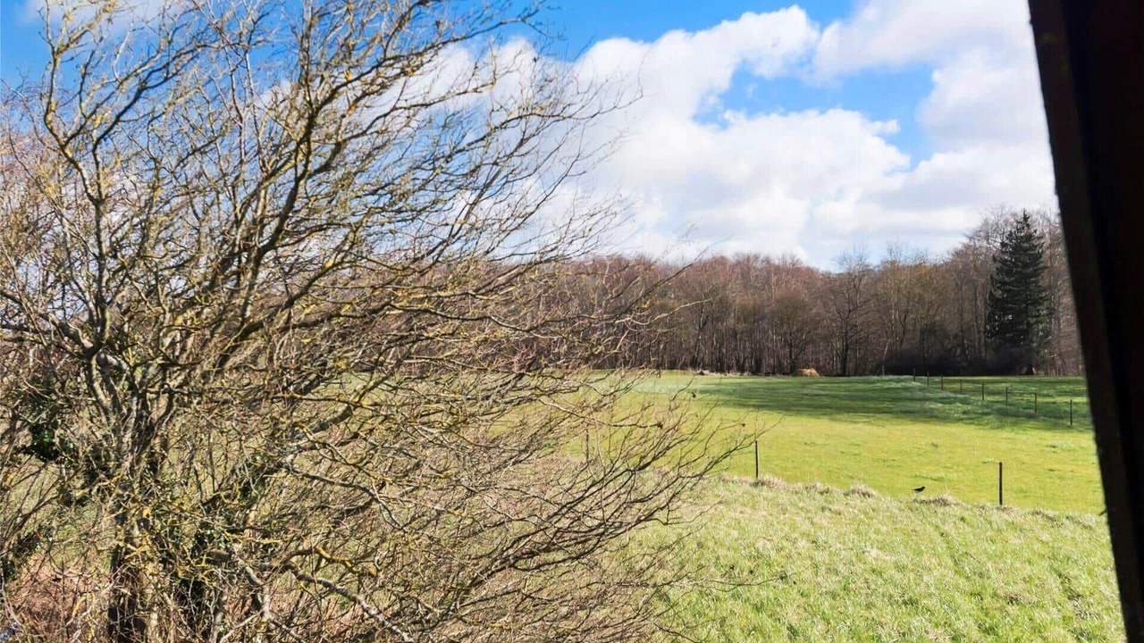 Photo of Others in Faxe Ladeplads