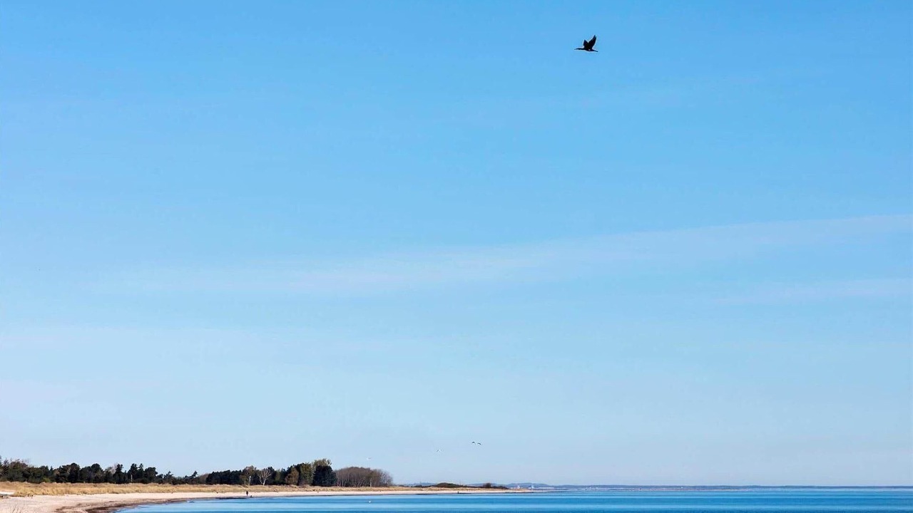 Photo of Others in Stege