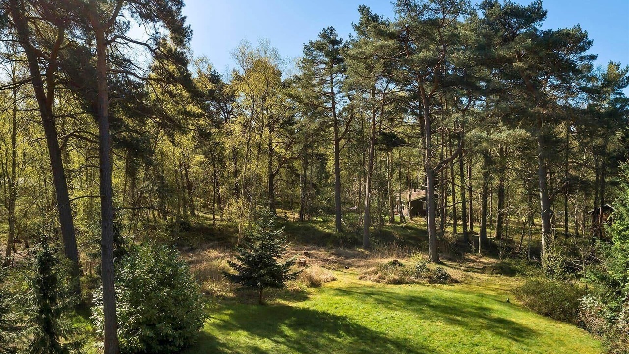 Photo of Others in Stege