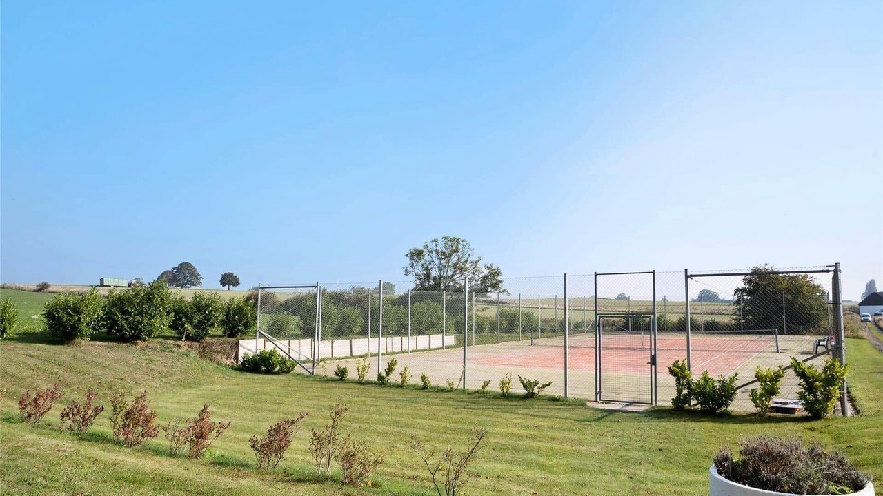 Photo of Others in Stege