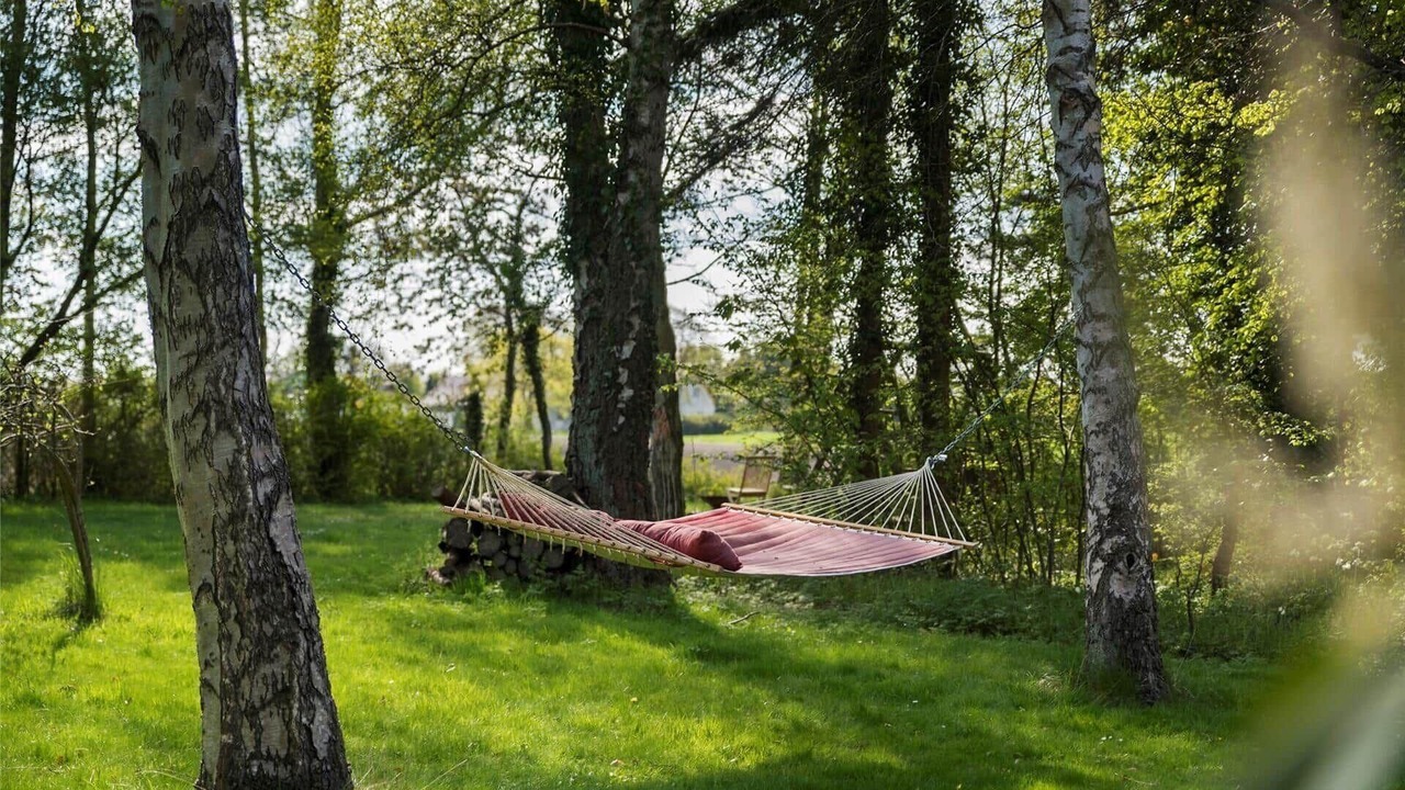 Photo of Outdoor in Stege