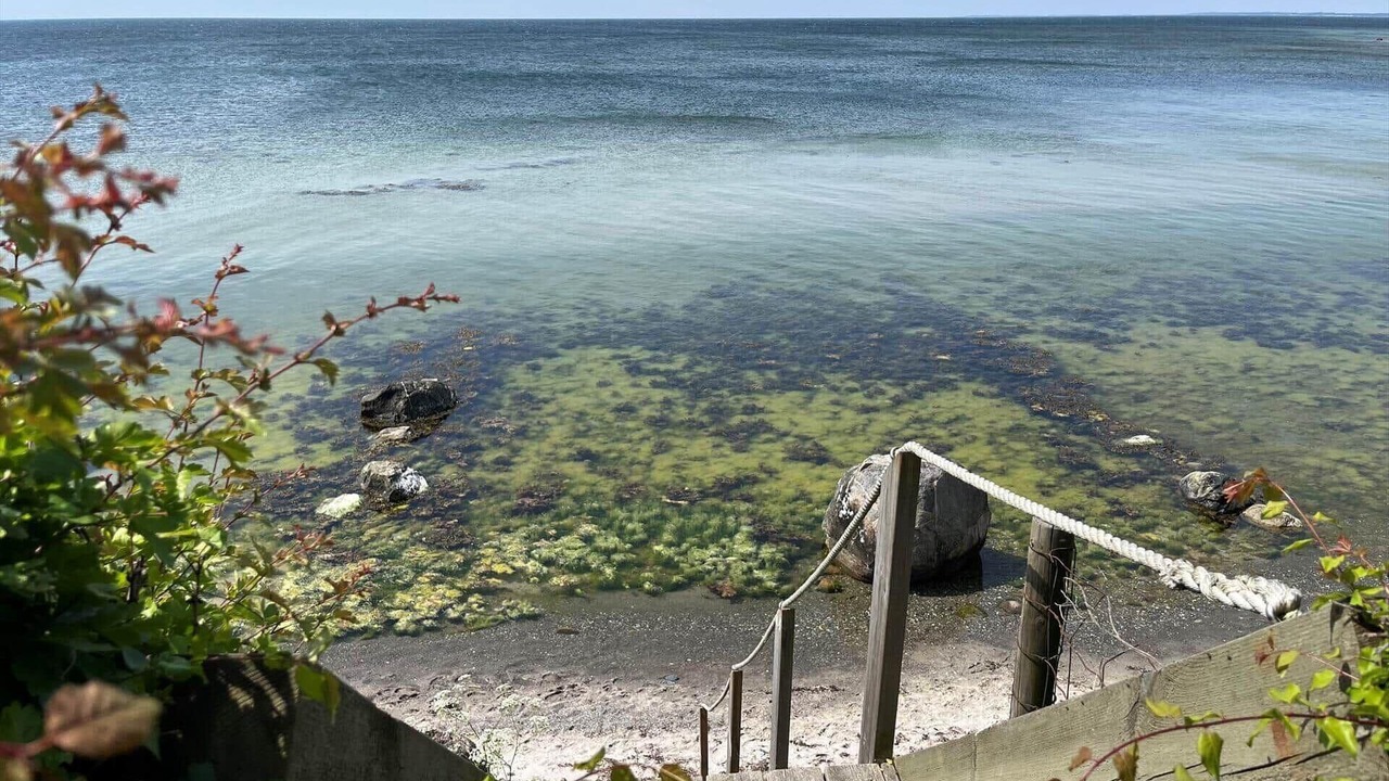 Photo of Others in Lundby