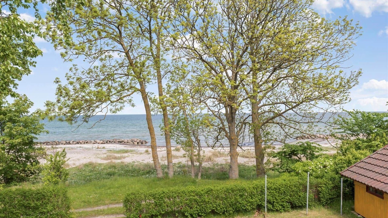 Photo of Others in Stege