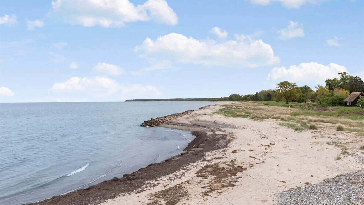 Photo of Others in Stege