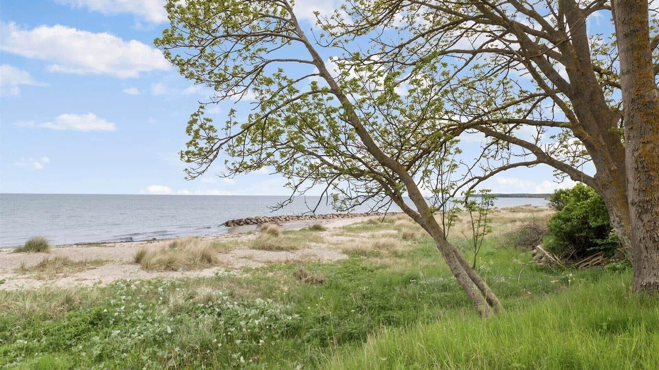 Photo of Others in Stege