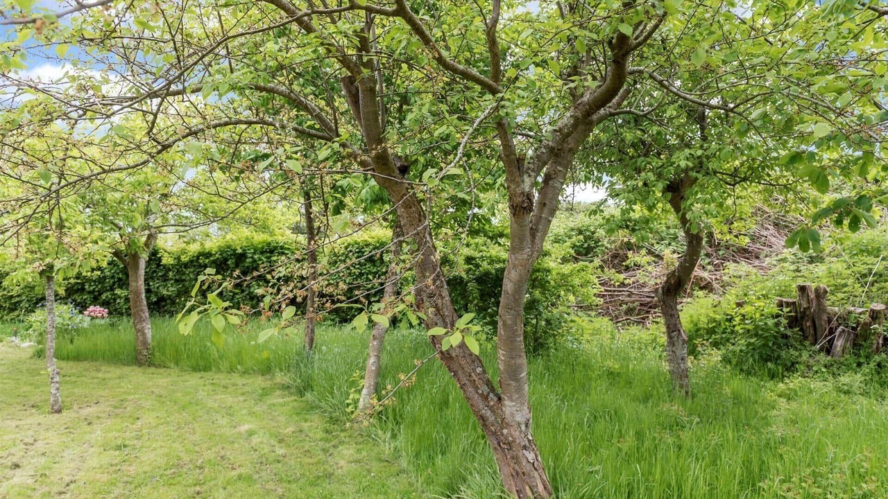 Photo of Outdoor in Stege