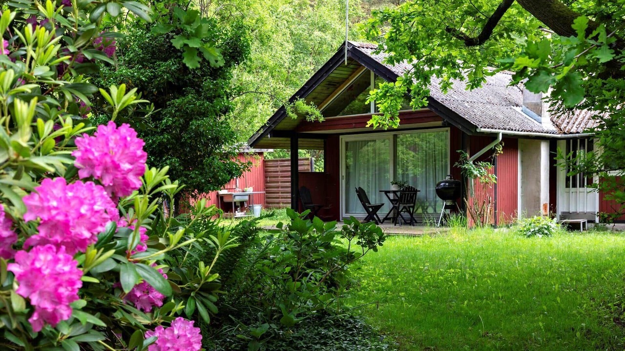 Photo of Outdoor in Stege