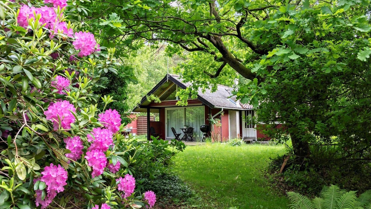 Photo of Outdoor in Stege
