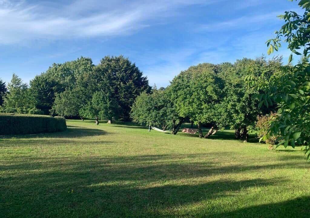 Photo of Others in Busene