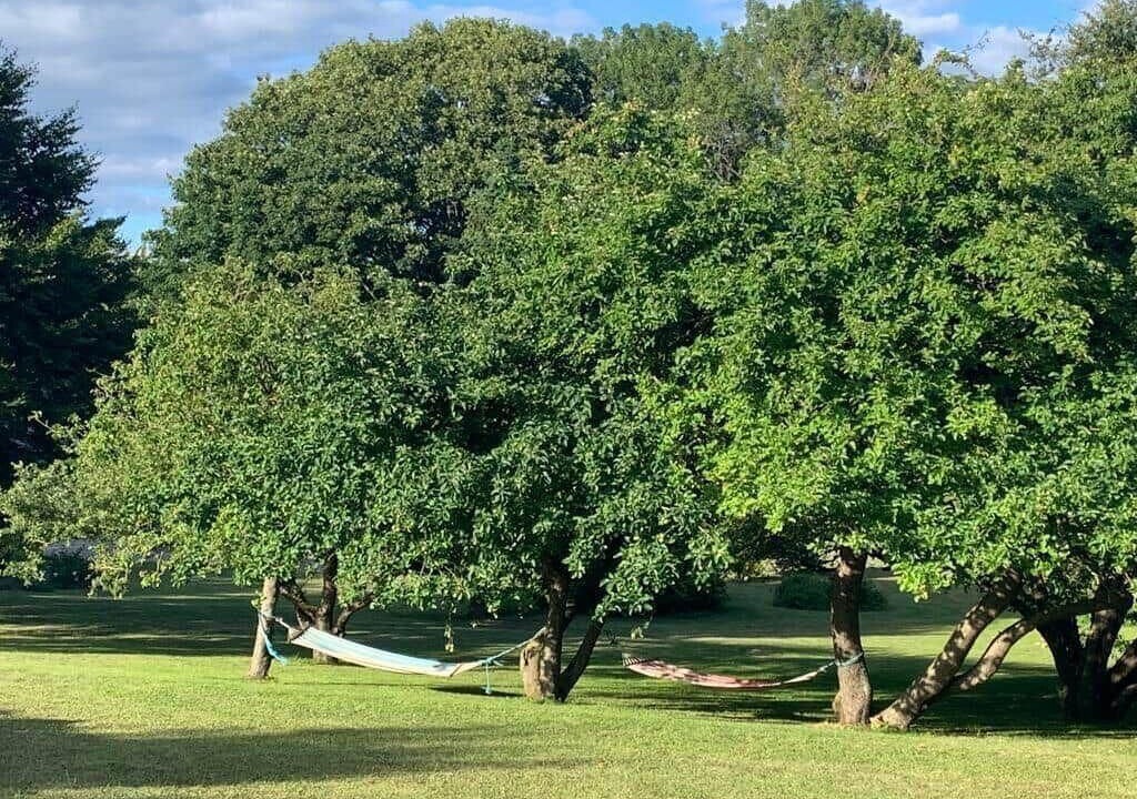 Photo of Others in Busene