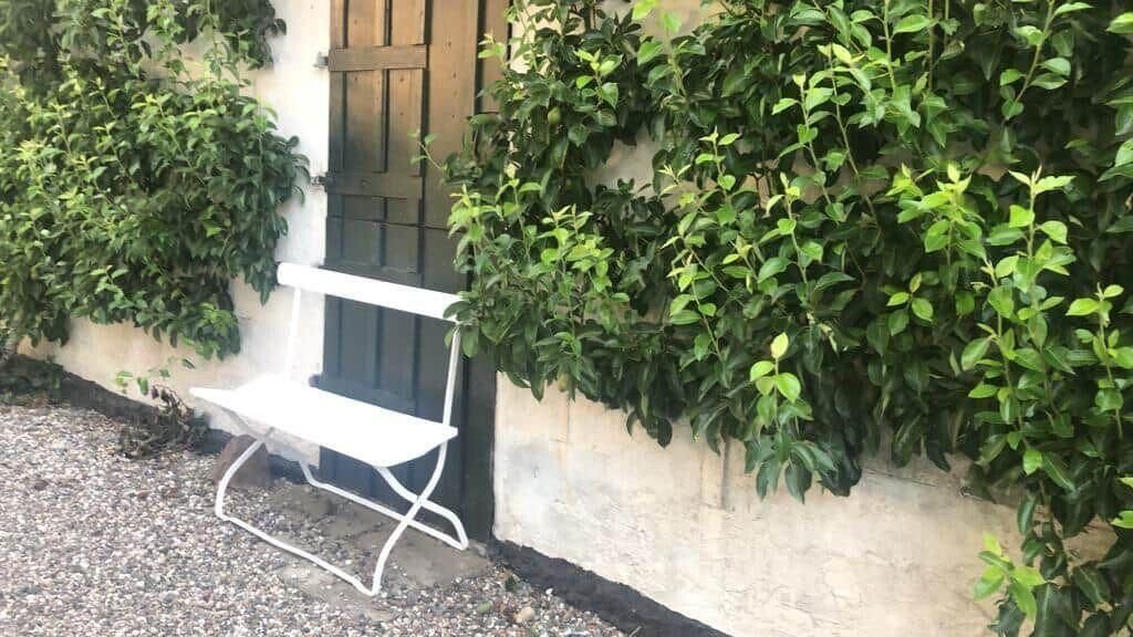 Photo of Outdoor in Busene