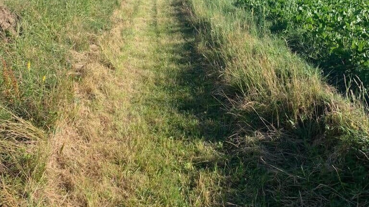 Photo of Others in Busene