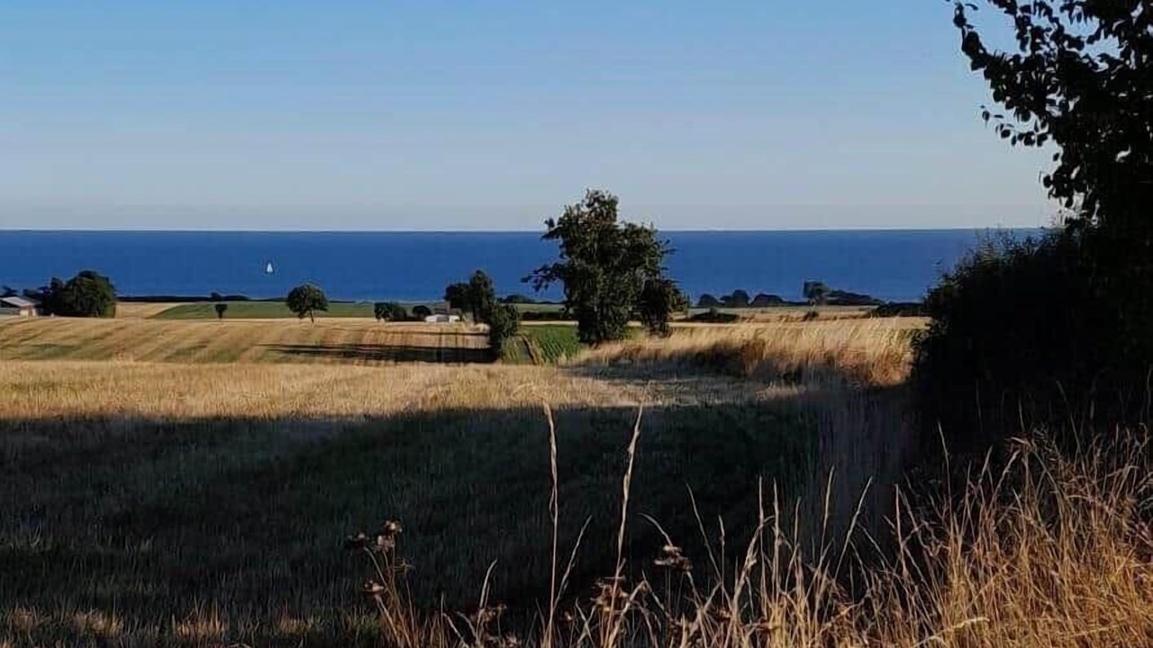 Photo of Others in Busene