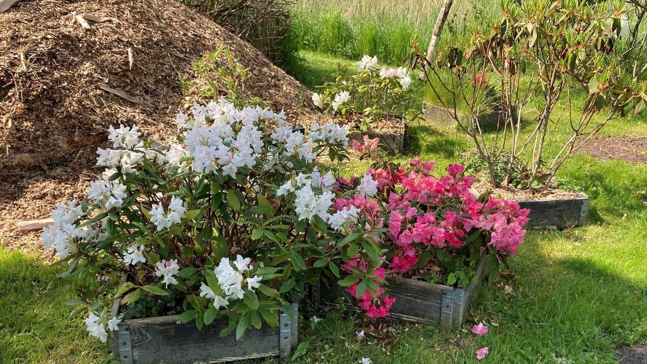 Photo of Outdoor in Stege