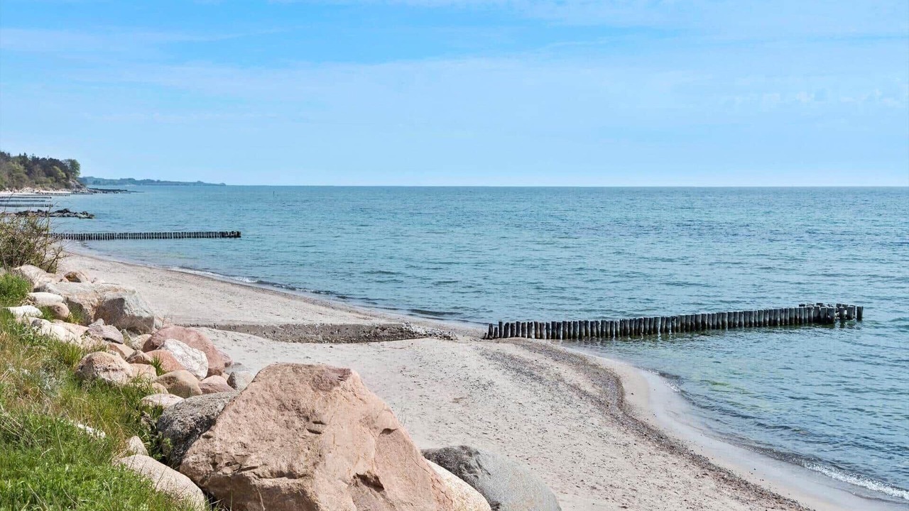 Photo of Others in Stege