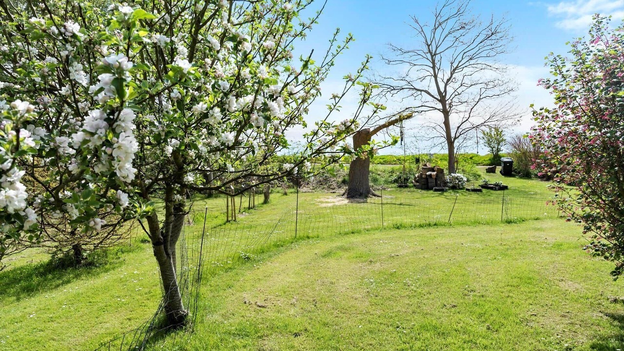 Photo of Outdoor in Stege