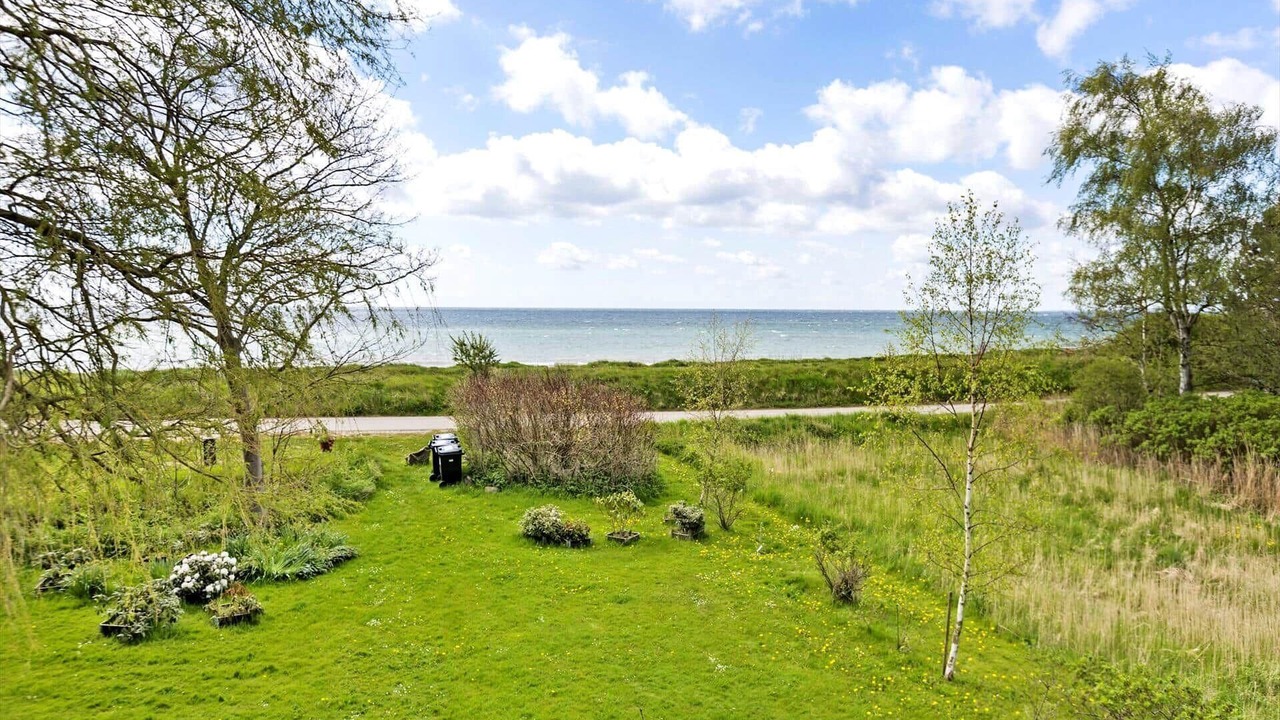 Photo of Others in Stege