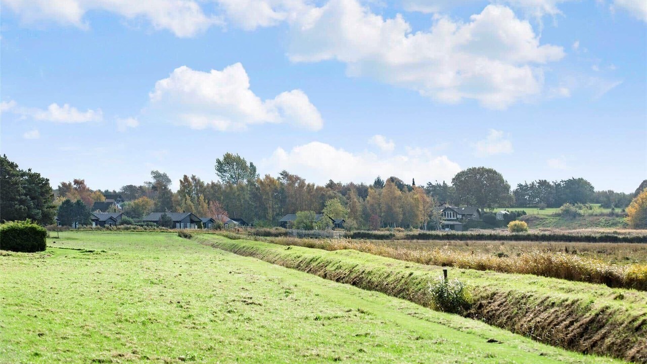 Photo of Others in Stege