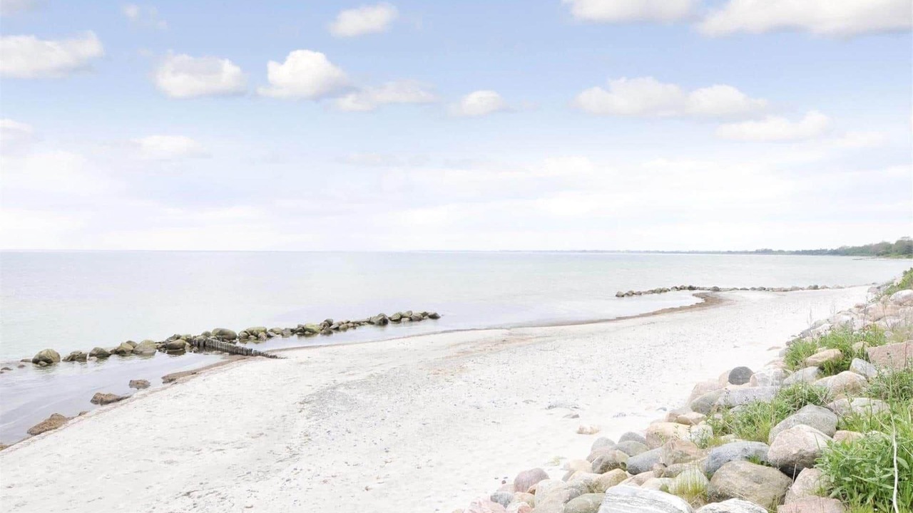 Photo of Others in Stege