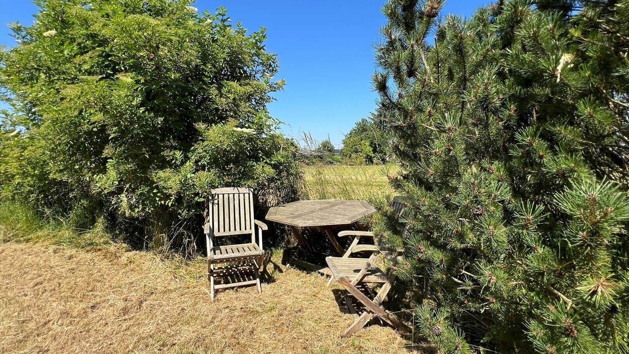 Photo of Outdoor in Bog By