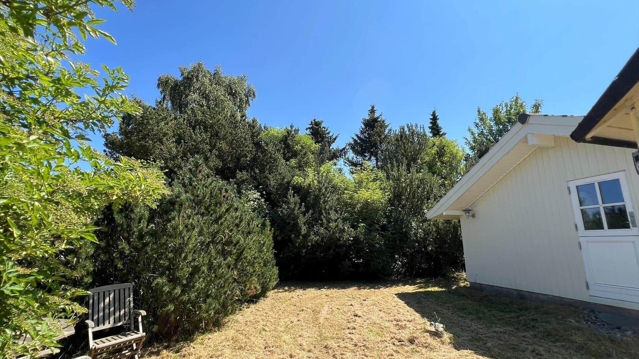 Photo of Outdoor in Bog By