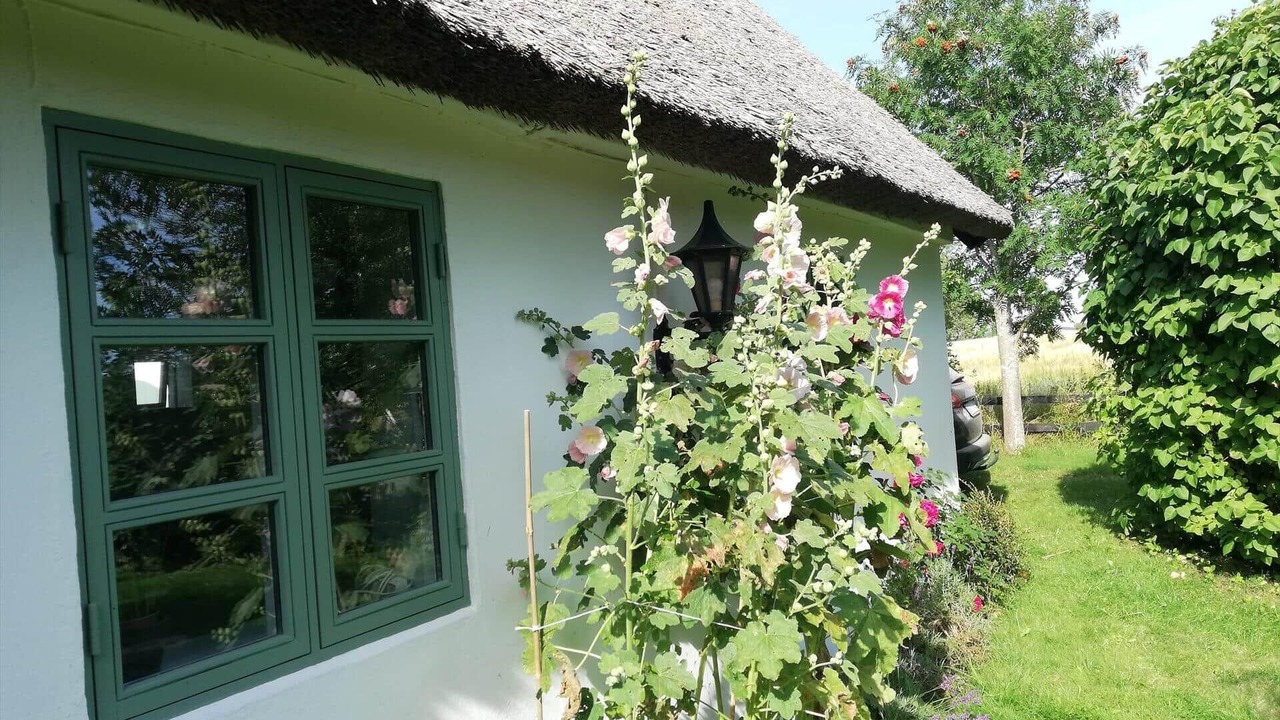 Photo of Outdoor in Stege