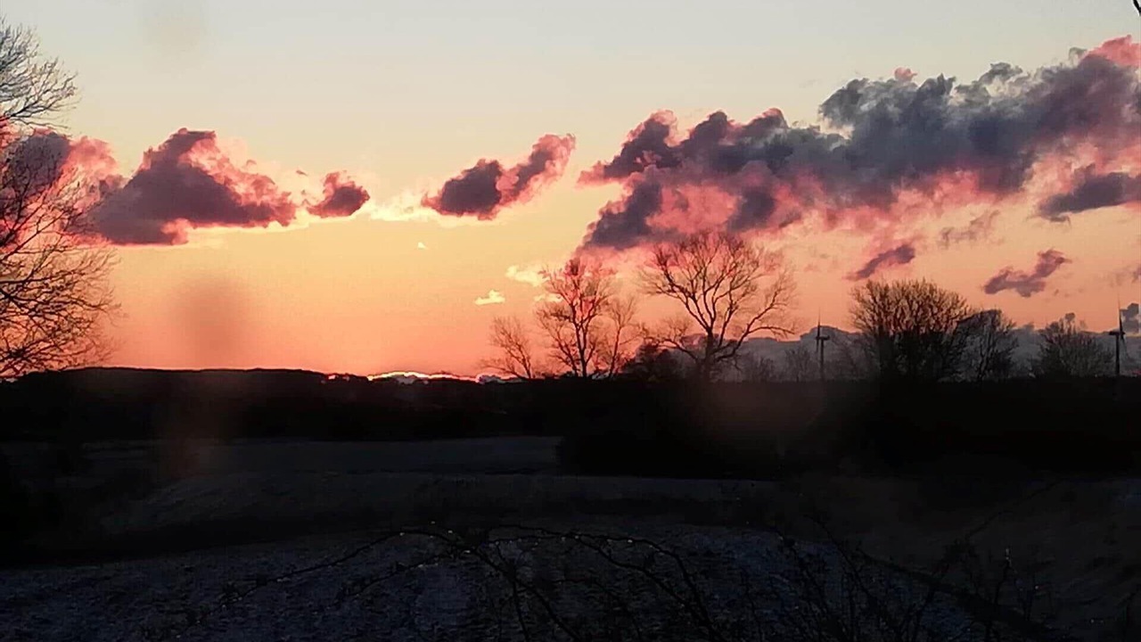 Photo of Others in Stege