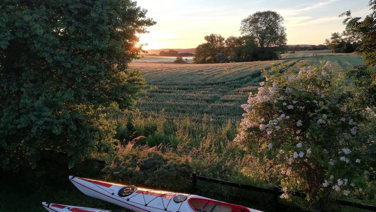 Photo of Others in Stege