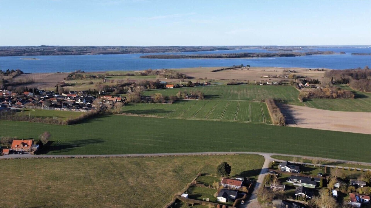 Photo of Outdoor in Bog By