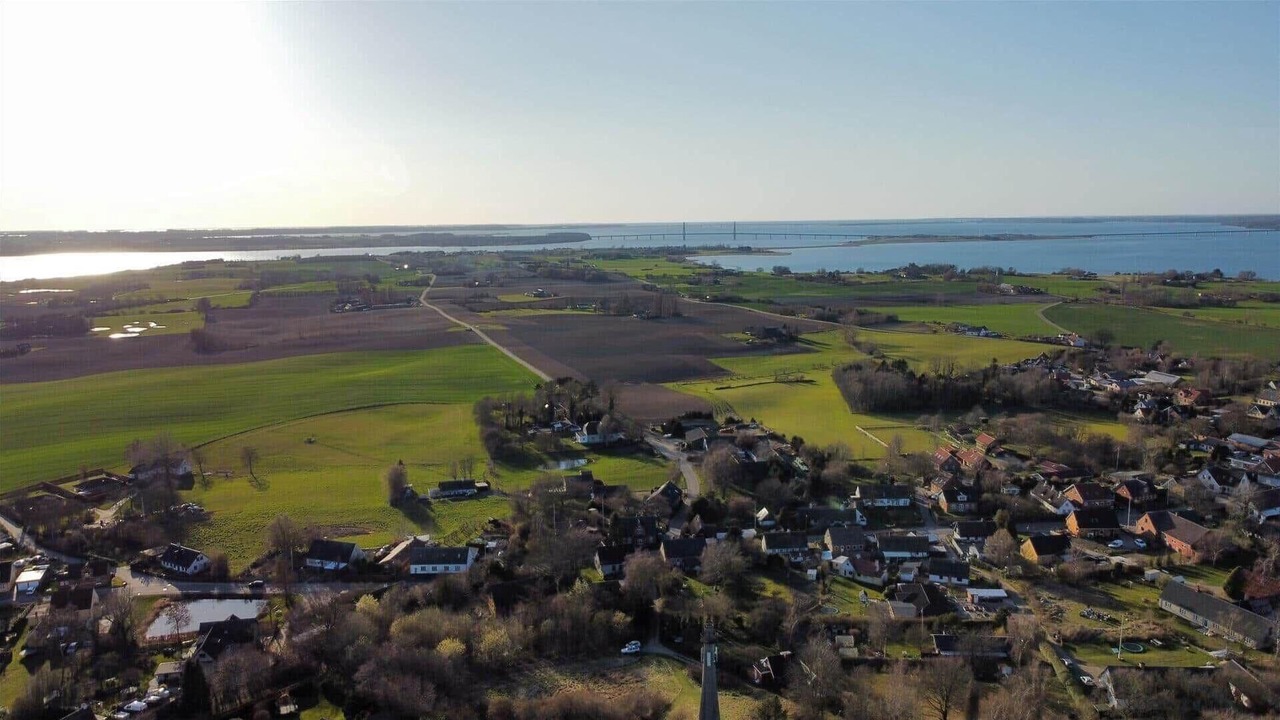 Photo of Outdoor in Bog By