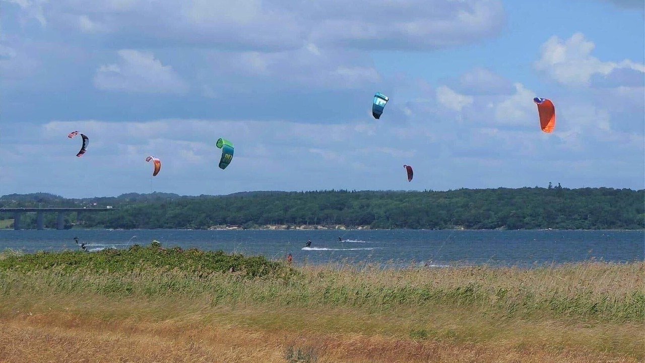 Photo of Others in Bog By