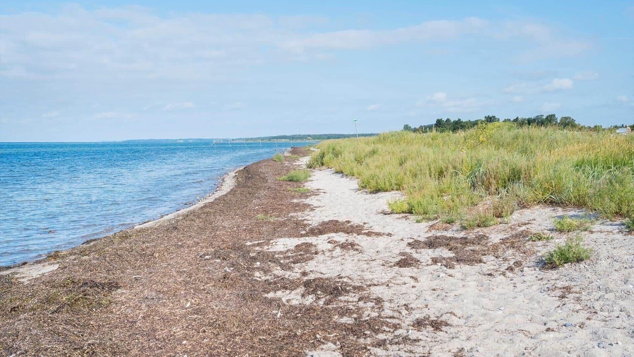 Photo of Others in Vordingborg