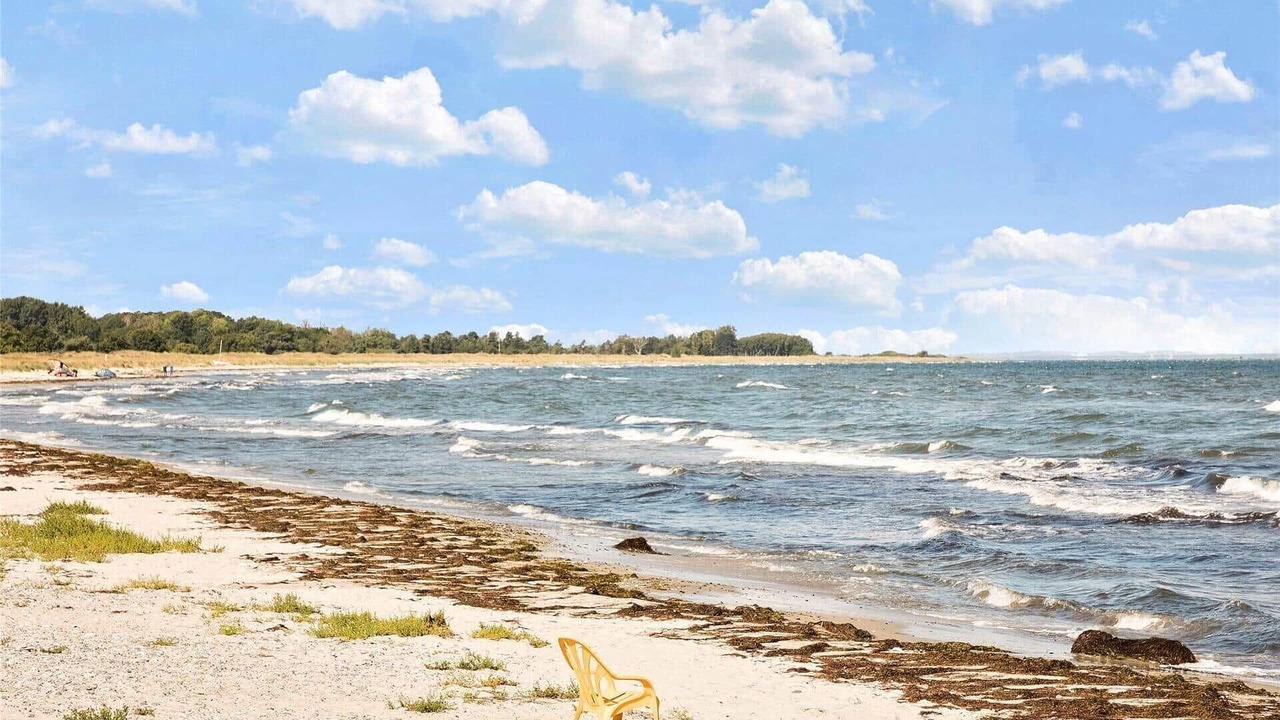 Photo of Others in Stege