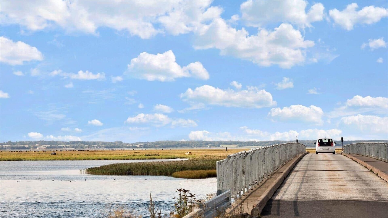 Photo of Others in Stege