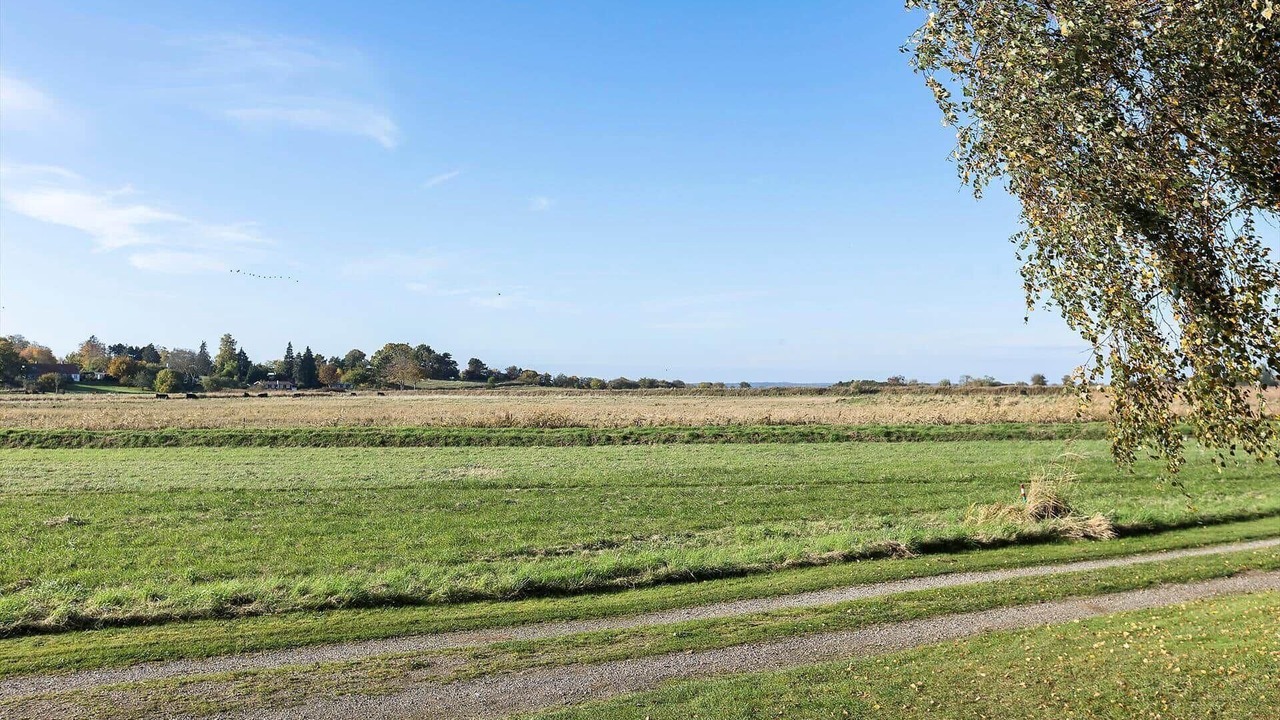 Photo of Others in Stege